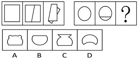1551754029164170.jpg 1.jpg