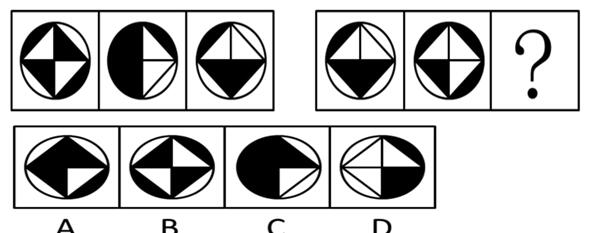 1551754036981921.jpg 2.jpg