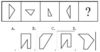 1553570576315880.jpg 2.jpg