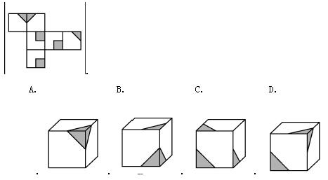 1553570597189117.jpg 5.jpg