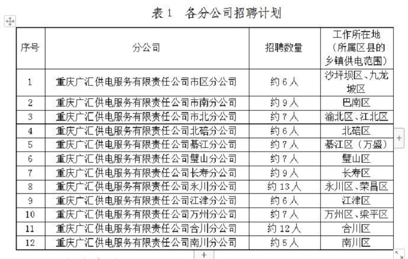 表1 各分公司招聘计划.jpg