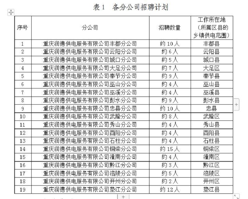 表1 各分公司招聘计划.jpg