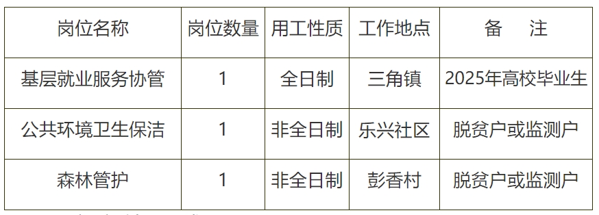 公益岗位表.png